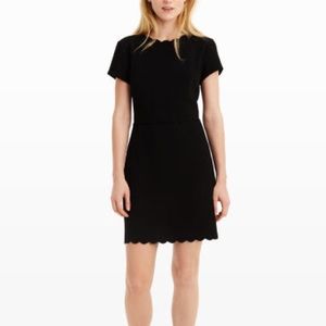 Club Monaco Scallop Edge Dress